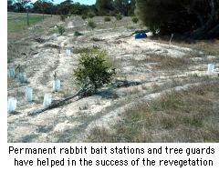 rabbit control