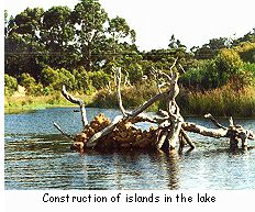 Construction of islands in the lake