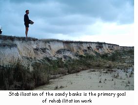 Stabilisation of the sandy banks