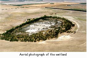 Aerial photograph of the wetland