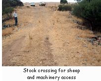 Stock crossing for sheep and machinery access