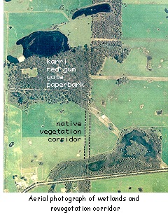 Aerial photograph of wetlands and revegetation corridor