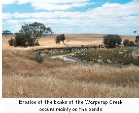 Erosion of the banks of the Warperup Creek occurs mainly on the bends