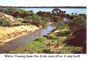 Water flowing down the drain soon after it was constructed