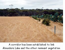 A corridor has been established to link Minvalara Lake and other remnant vegetation