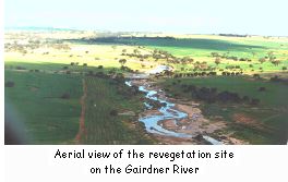 Aerial view of the revegetation site