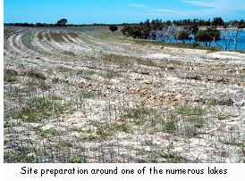 Site preparation around one of the numerous lakes