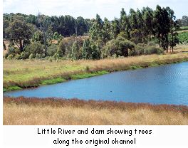 Little River and dam showing trees along the original channel