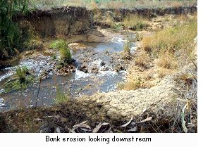 Bank erosion looking downstream