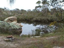 River pool