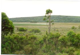 Sisters Wetland group view