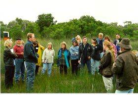 Two People's Bay Wetland group view