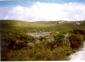 Waychinicup River view