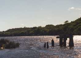 Torbay Inlet view