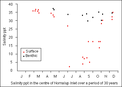 Salinity plot