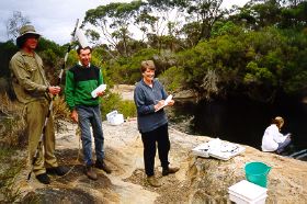 Bremer River view