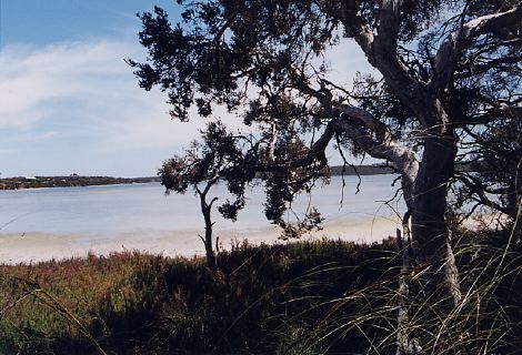 estuary scene