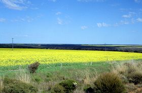 Munglinup River view