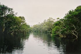 Jerdacuttup River view